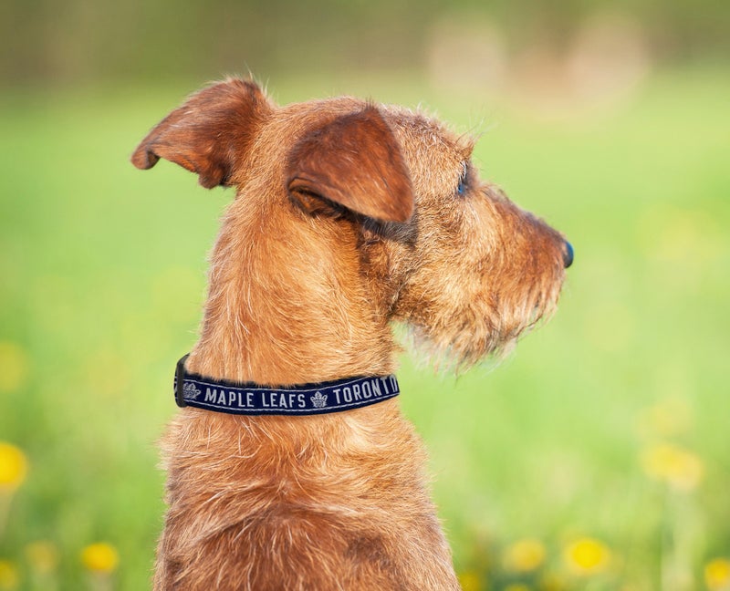 Pets First NHL Toronto Maple Leafs Collar for Dogs & Cats, Small. - Adjustable, Cute & Stylish! The Ultimate Hockey Fan Collar! - Image 5